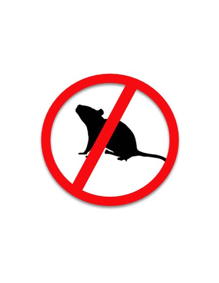 ratas y ratones- controla tus plagas
